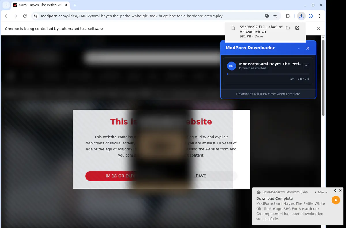 Modporn Video Downloader browser extension screenshot 2