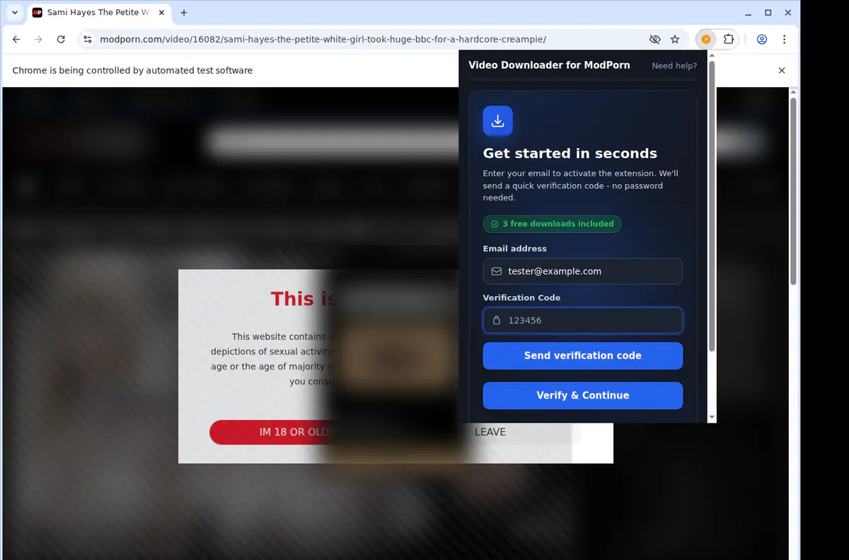 Modporn Video Downloader browser extension screenshot 4