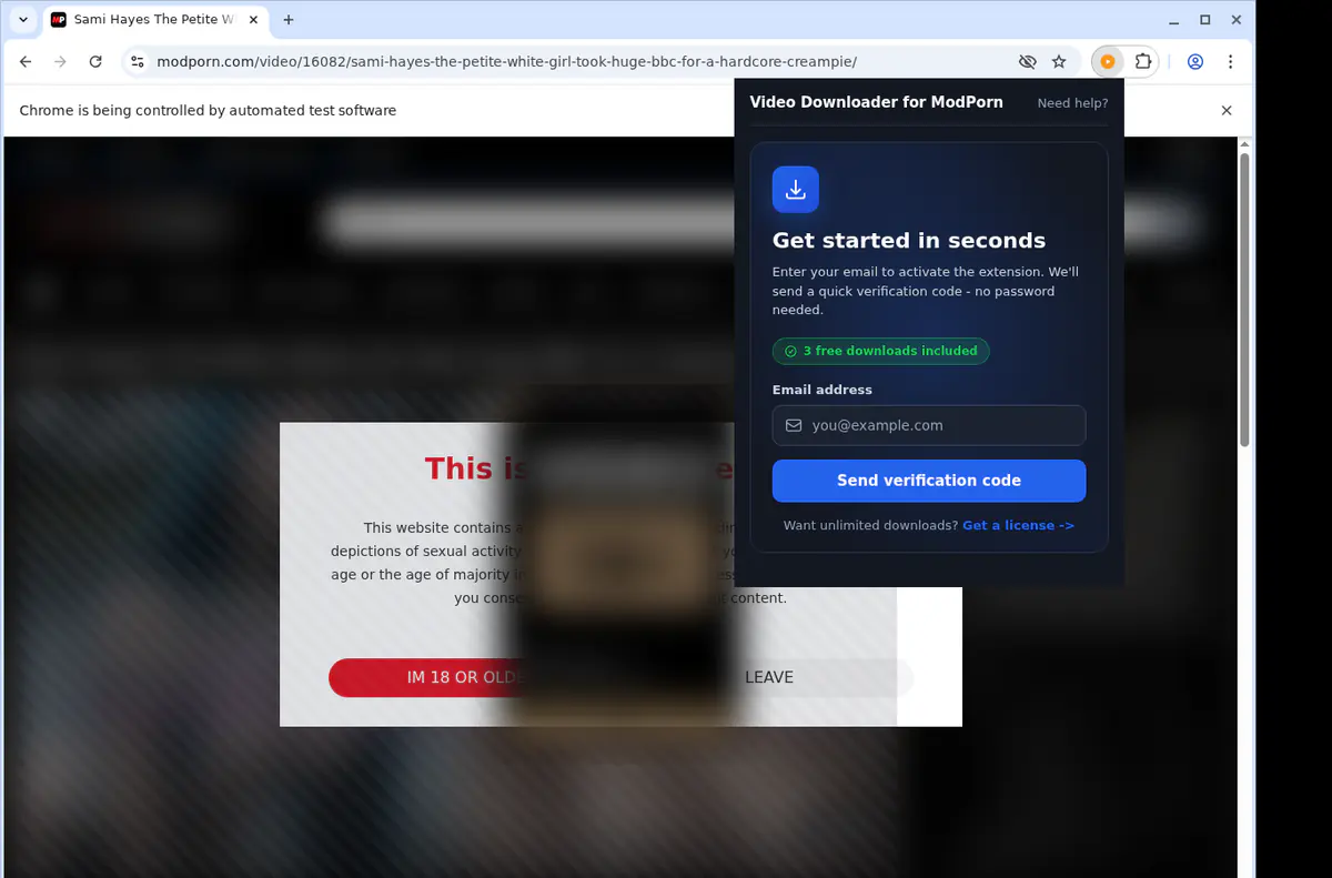 Modporn Video Downloader browser extension screenshot 5